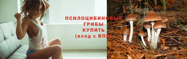 apvp Саяногорск